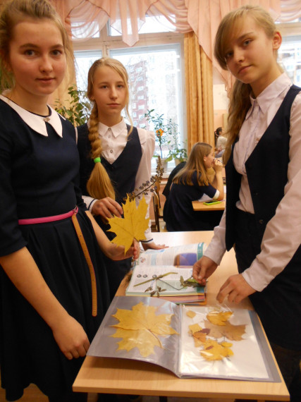 Тебе и мне нужна земля.